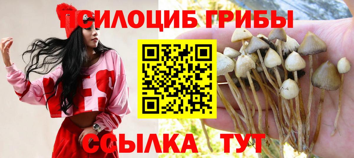 Галлюциногенные грибы ЛСД  цены   Калуга  Вход с VPN 