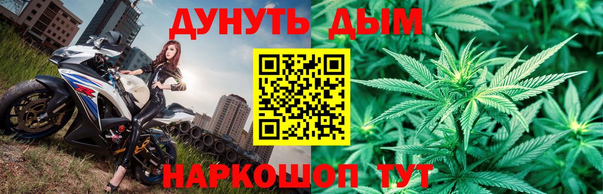 Шишки марихуана конопля Калуга